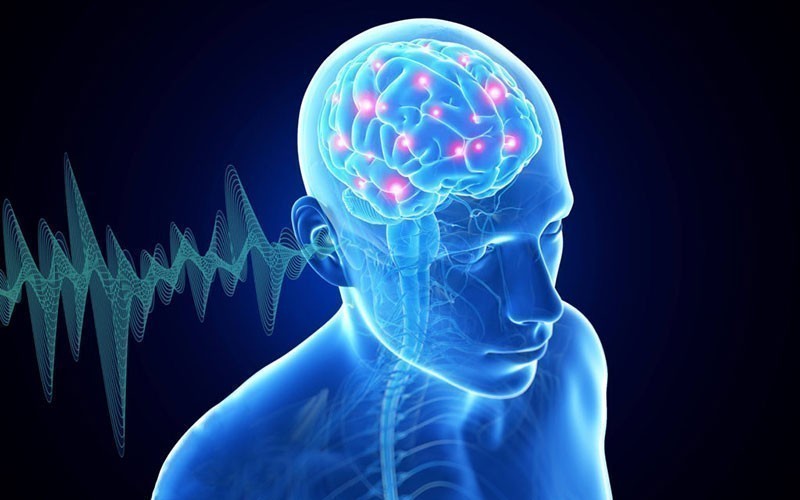 human brainwaves