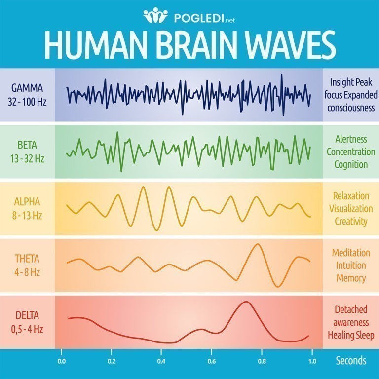 Brainwaves and what kind of "role" do they have in our lives